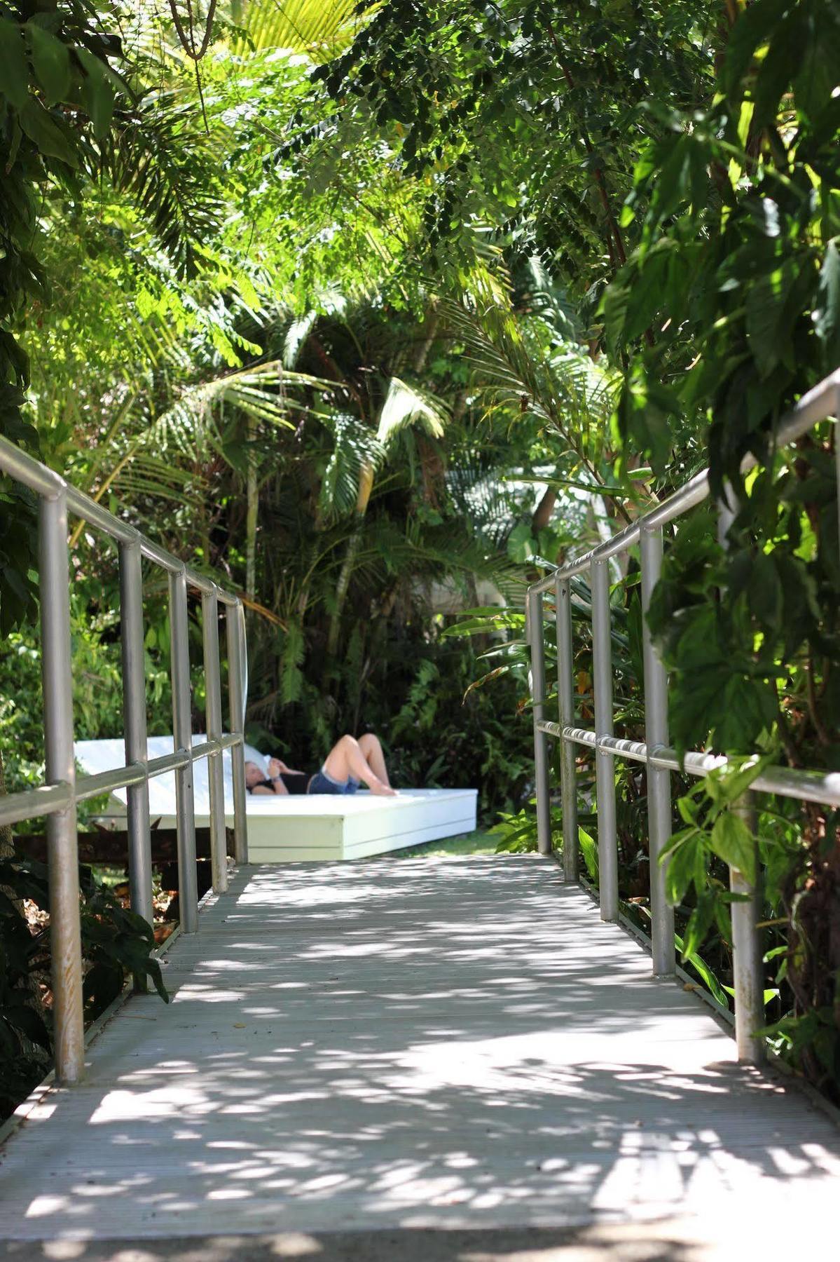 Absolute Backpackers Mission Beach Eksteriør billede