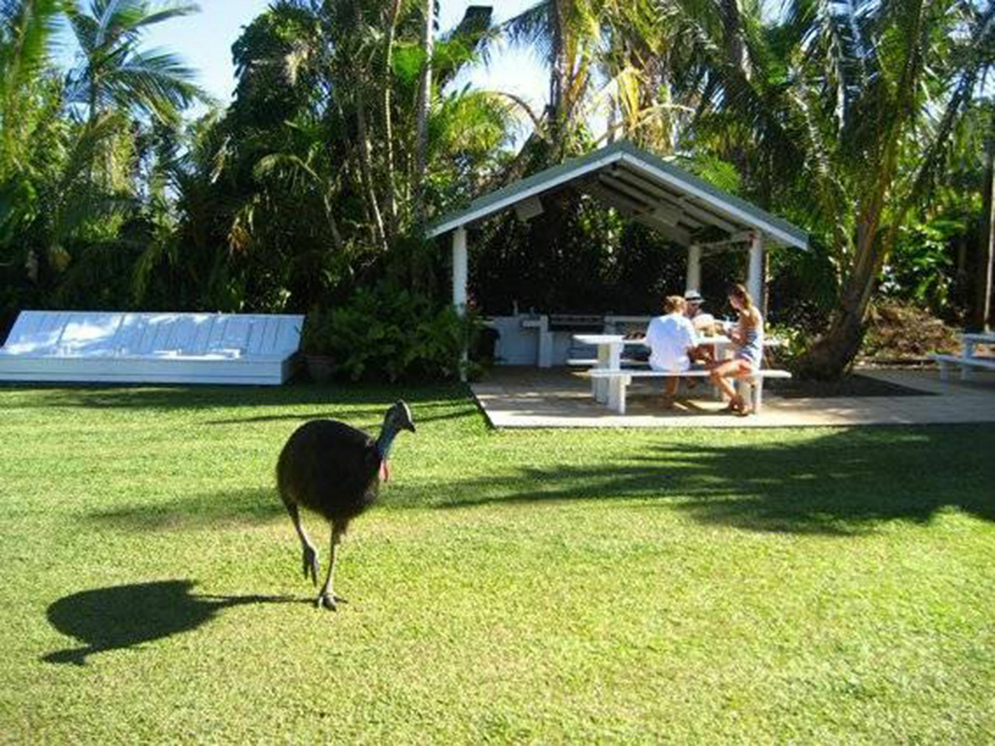 Absolute Backpackers Mission Beach Eksteriør billede
